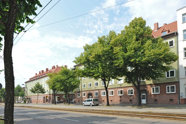 frisch renovierte Wohlfühlwohnung - Foto 3